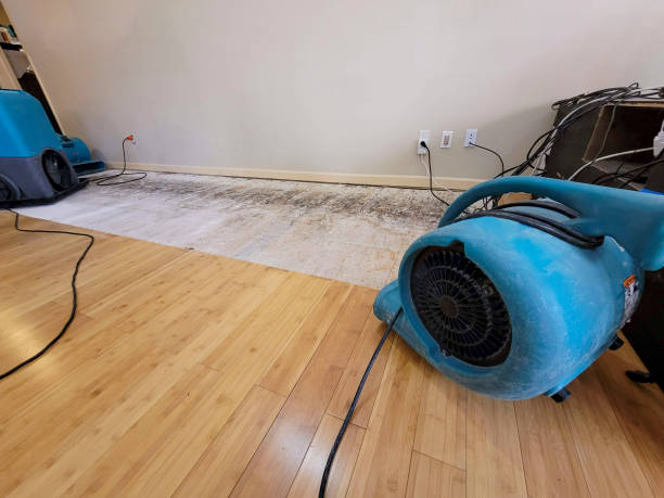 Professional Water Damage Repair technician working in Bryn Athyn, PA